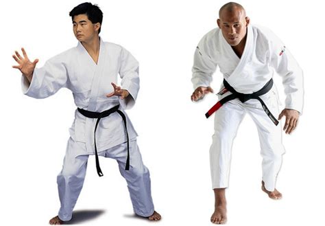 Differences Between Brazilian Jiu-Jitsu & Japanese Ju Jitsu