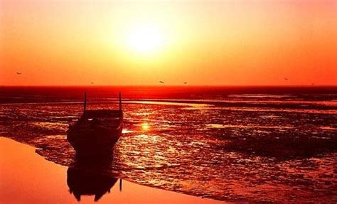 Yellow River Delta (Dongying, China): Top Tips Before You Go - TripAdvisor