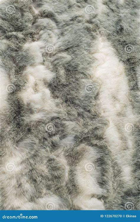 Texture. Fur. Rabbit stock photo. Image of natural, design - 122670270