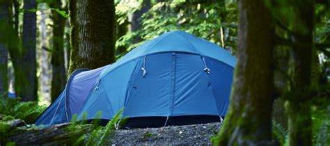 Best Tents under $200: Quality Meets Affordability (2024)