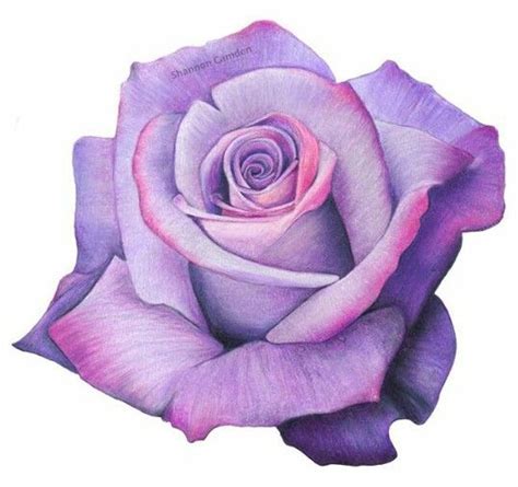 Colorpencil Colored Pencil Artwork, Color Pencil Drawing, Pencil Art ...