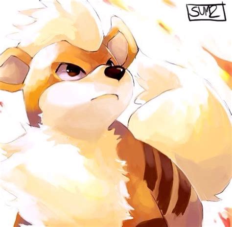 Growlithe Evolution | Wiki | Pokémon Amino