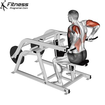 Seated Tricep Dips Muscles Worked – Two Birds Home