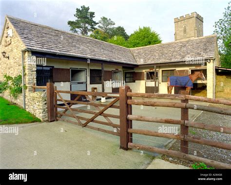 Horse stands outside small stone stable block Stock Photo: 5965701 - Alamy