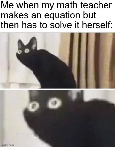 Oh No Black Cat - Imgflip