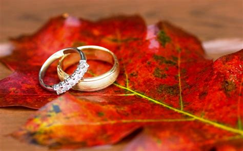 engagement ring wallpapers Gold Wedding, Wedding Day, Wedding Rings ...