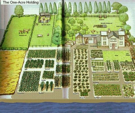 1 acre farm | Garden layout vegetable, Farm gardens, Farm layout