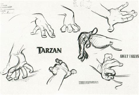 Cartoon Sketches | Disney concept art, Glen keane, Tarzan