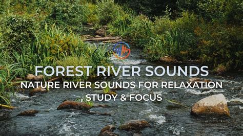 1 Hours Relaxing - Nature River Sounds for Relaxation , Study & Focus ...