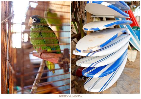 Stephanie + Stephen | Surfing at Macao Beach, Dominican Republic ...