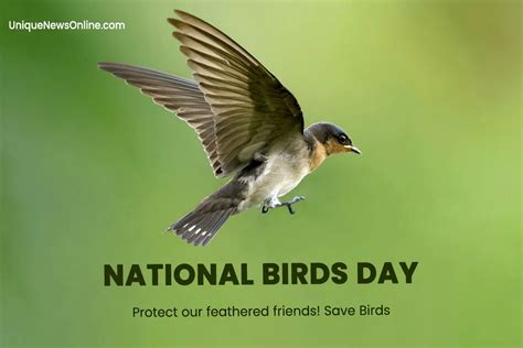 National Bird Day 2024 Theme, Slogans, Quotes, Images, Messages ...