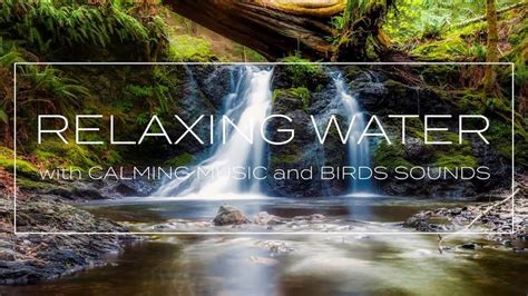 Relaxing Water Sounds: Calm Sleep Music, Birds Sounds, Meditation Music ...