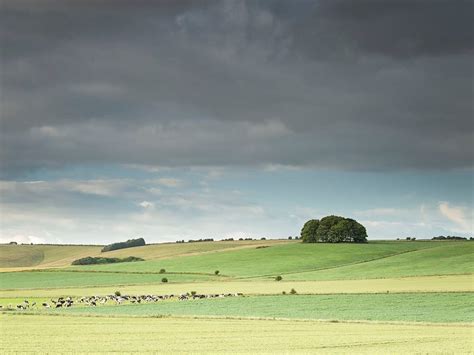 The best Walks Around Avebury — The Farm at Avebury