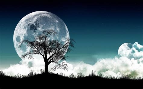 🔥 Free download Moonlight Night hd Wallpapers [1280x781] for your ...