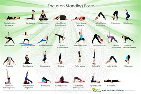 Yoga Poses For Beginners With Pictures And Names