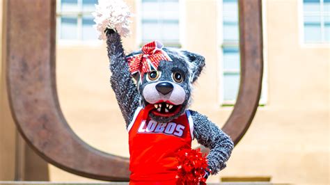 Reminder: Lobos can update their affirmed terms: UNM Newsroom