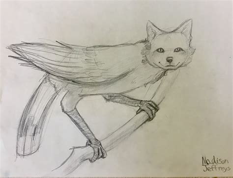 Hybrid animal drawing by Madison, | Animal drawings, Student art, Drawings