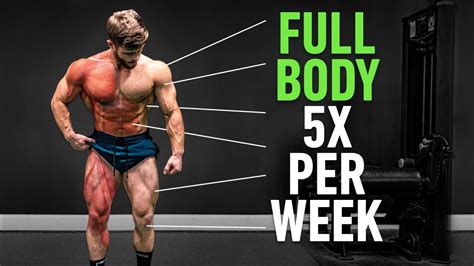 Full Body Workout 5 Days A Week Reddit