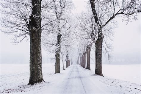 Hintergrundbilder Natur Und Tiere Winter / Da im winter die temperatur ...