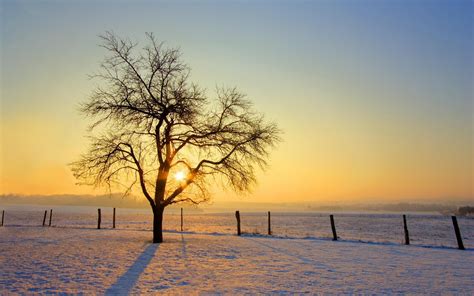 photography, Landscape, Nature, Trees, Sunrise, Winter, Snow, Field ...