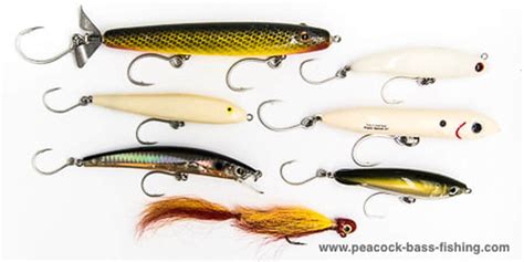 Baits for Peacock Bass Fishing - Peacock Bass Fishing on private waters