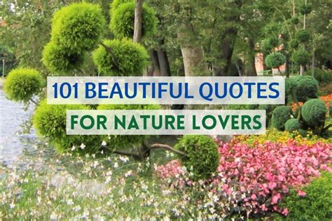 101 Beautiful Quotes For Nature Lovers | WildlifeZones