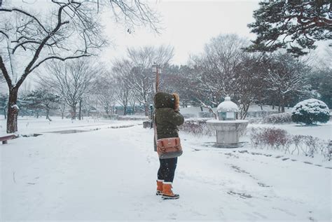 Winter in Korea: What to Do + How to Survive - There She Goes Again