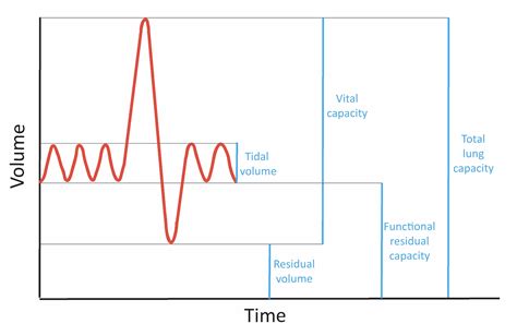 Spirometry | OSCEstop | OSCE Learning