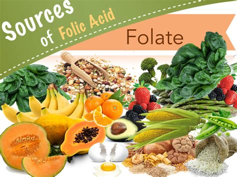 Folate Health Benefits: Folic Acid Deficiency and Vitamin B9 Rich Foods ...