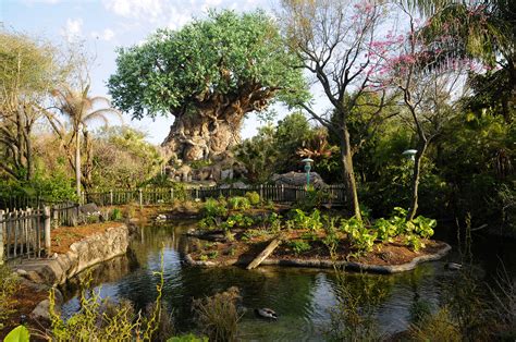 Animal Kingdom - 'Africa' (3) | Disney World | Pictures | United States ...