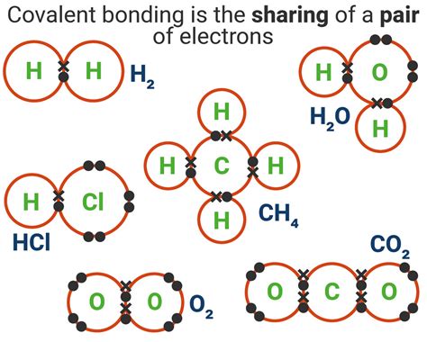 Ethene Covalent Bond Diagram