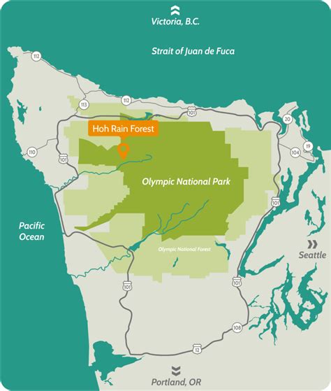 Visit the Hoh Rain Forest | Things To Do | The Olympic Peninsula