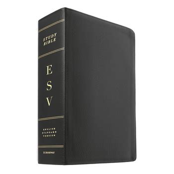 ESV Study Bible, Large Print, Genuine Leather, Black | Mardel ...