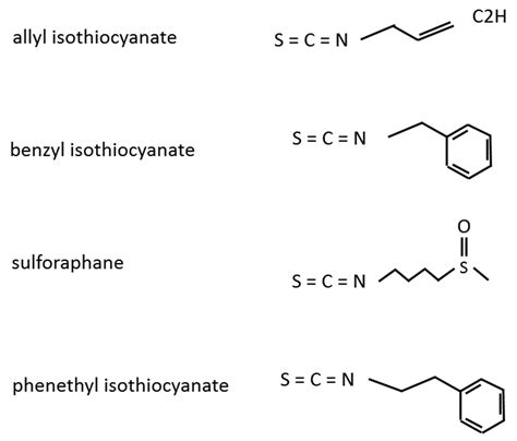 Molecules | Free Full-Text | Molecular Mechanisms of the Anti-Cancer ...