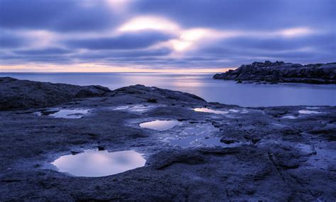 Puddles at Sunrise, York, Maine - Stanton Champion