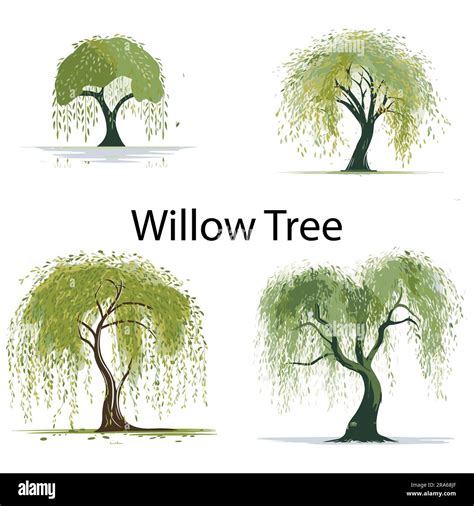 A set of Flat Willow Tree Vector illustration Stock Vector Image & Art ...