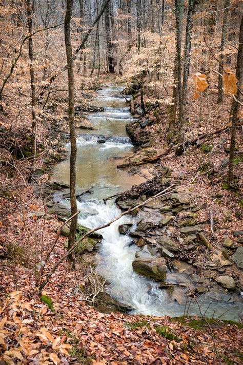 12 Images — Chattahoochee River Trail