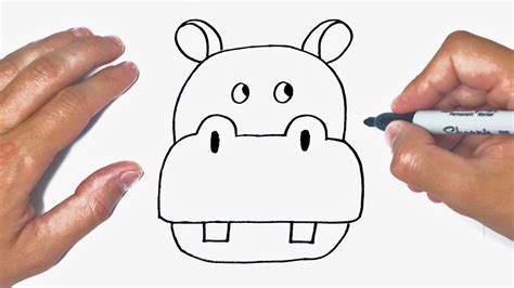 How to draw a Hippopotamus Step by Step