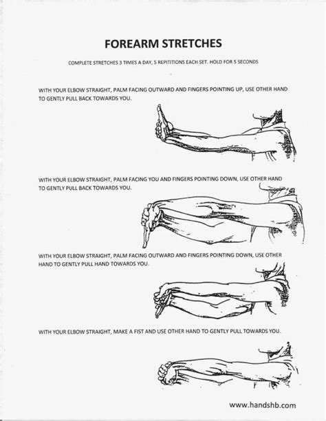 (19) Tumblr | Climbing workout, Forearm stretches, Hand therapy