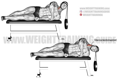 sternocleidomastoid muscle workout > OFF-54%