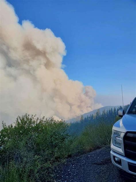 Aug. 24: Update - Bear Fire now at 2,778 acres - Plumas News