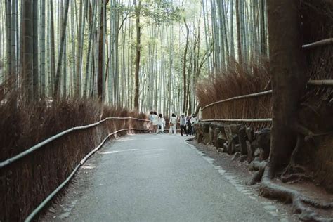 Is Arashiyama Worth Visiting? - A Day Of Zen