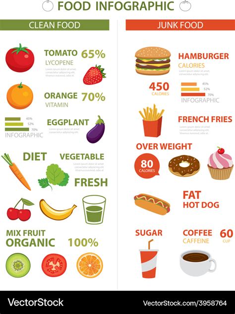 Healthy and junk food infographic Royalty Free Vector Image