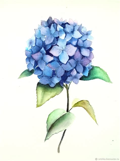 Painting Watercolor Hydrangea в интернет-магазине на Ярмарке Мастеров ...