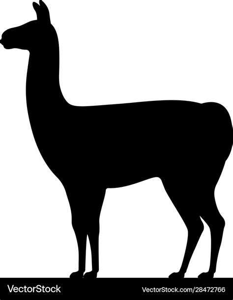 Llama silhouette isolated on white Royalty Free Vector Image