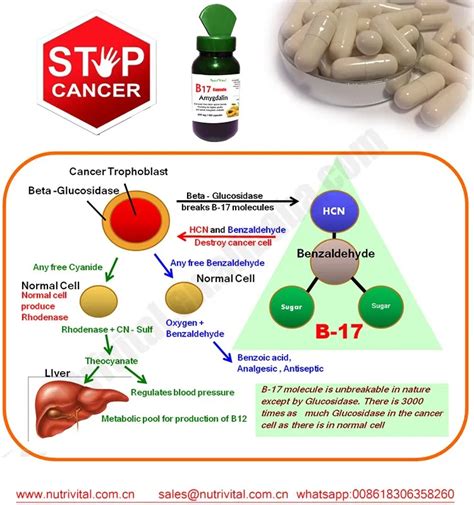 B17 Vitamin Benefits