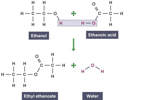 Formation Of Ethyl Ethanoate