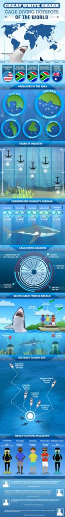 Guide to the World’s Best Great White Shark Hotspots - Infographic