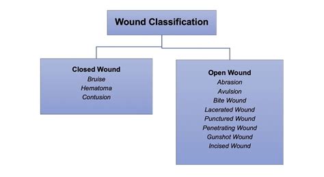 Wound and types of wound | Different Open and Closed Wounds