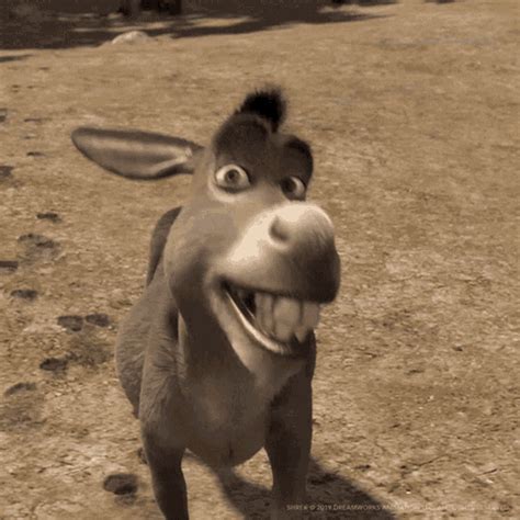 Shrek Donkey GIFs | Tenor